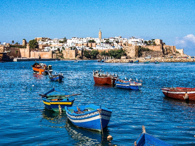 EXCURSION ESSAOUIRA