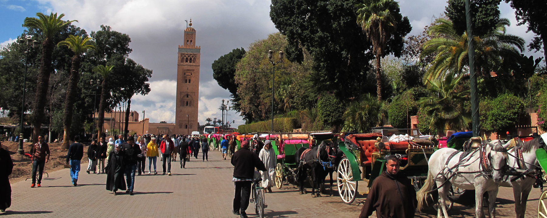  ROYAL CITIES & ESSAOUIRA From Marrakech