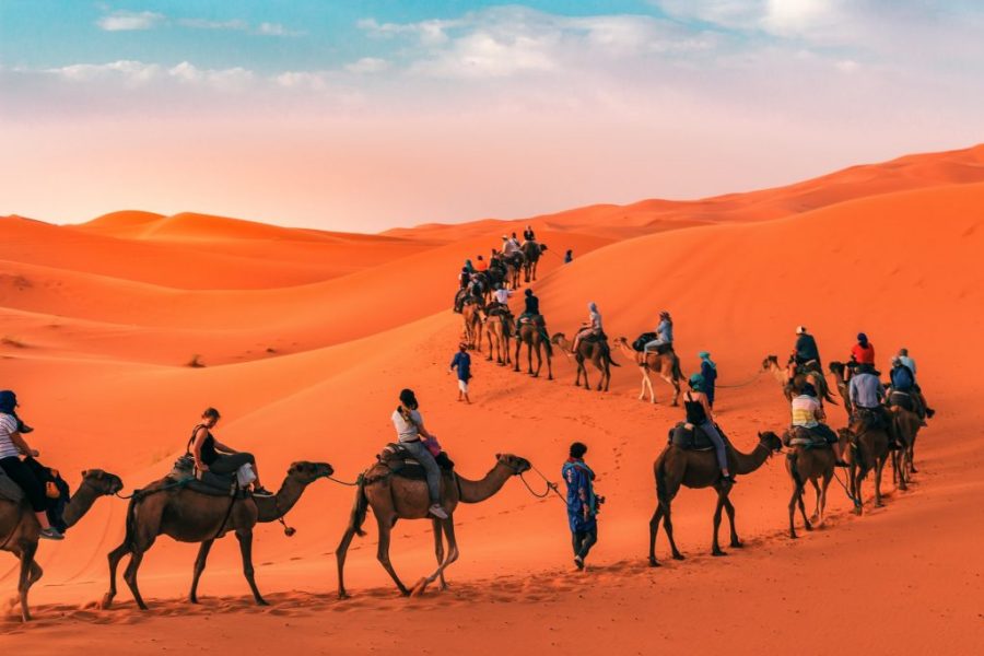 EXCURSION A DOS DE CHAMEAU – DESERT